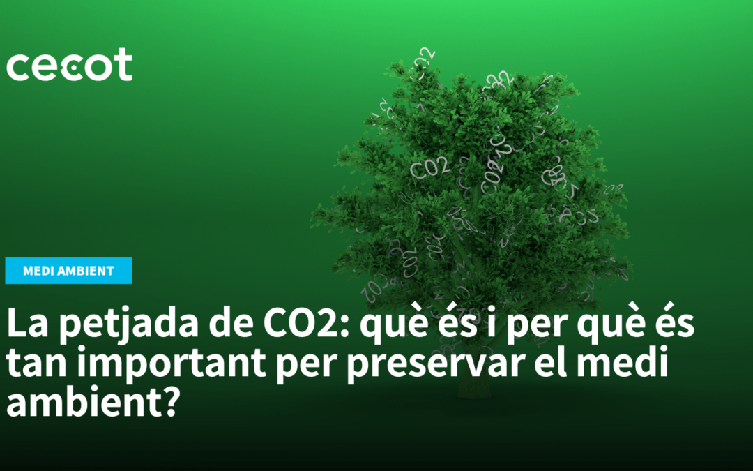 La petjada de CO2: què és i per què és tan important per preservar el medi ambient?